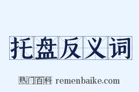 托盘反义词是什么意思的图片